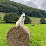 Chalé La Grange De L'adour Rimoula *