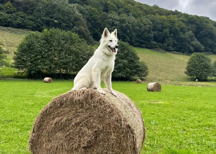 シャレー La Grange De L'adour Rimoula *